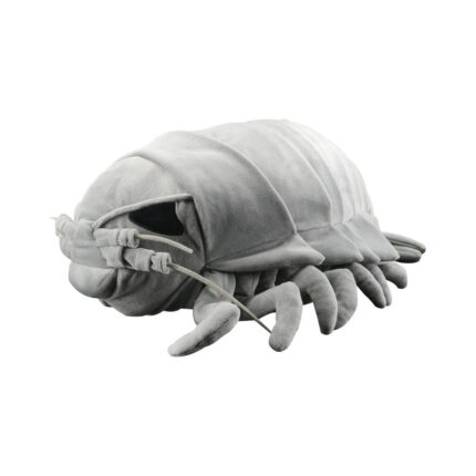 Giant Isopod (Bathynomus giganteus)
